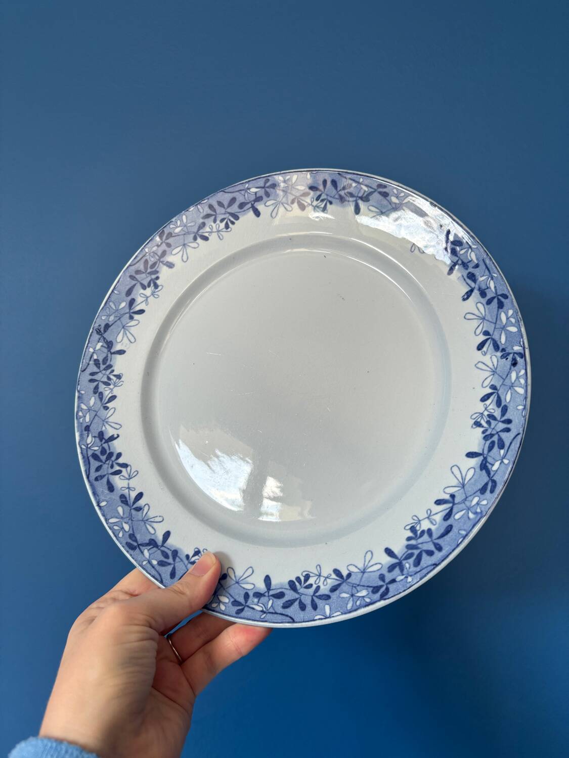 Set of 6 mimosa plates from Sarreguemines, old blue earthenware