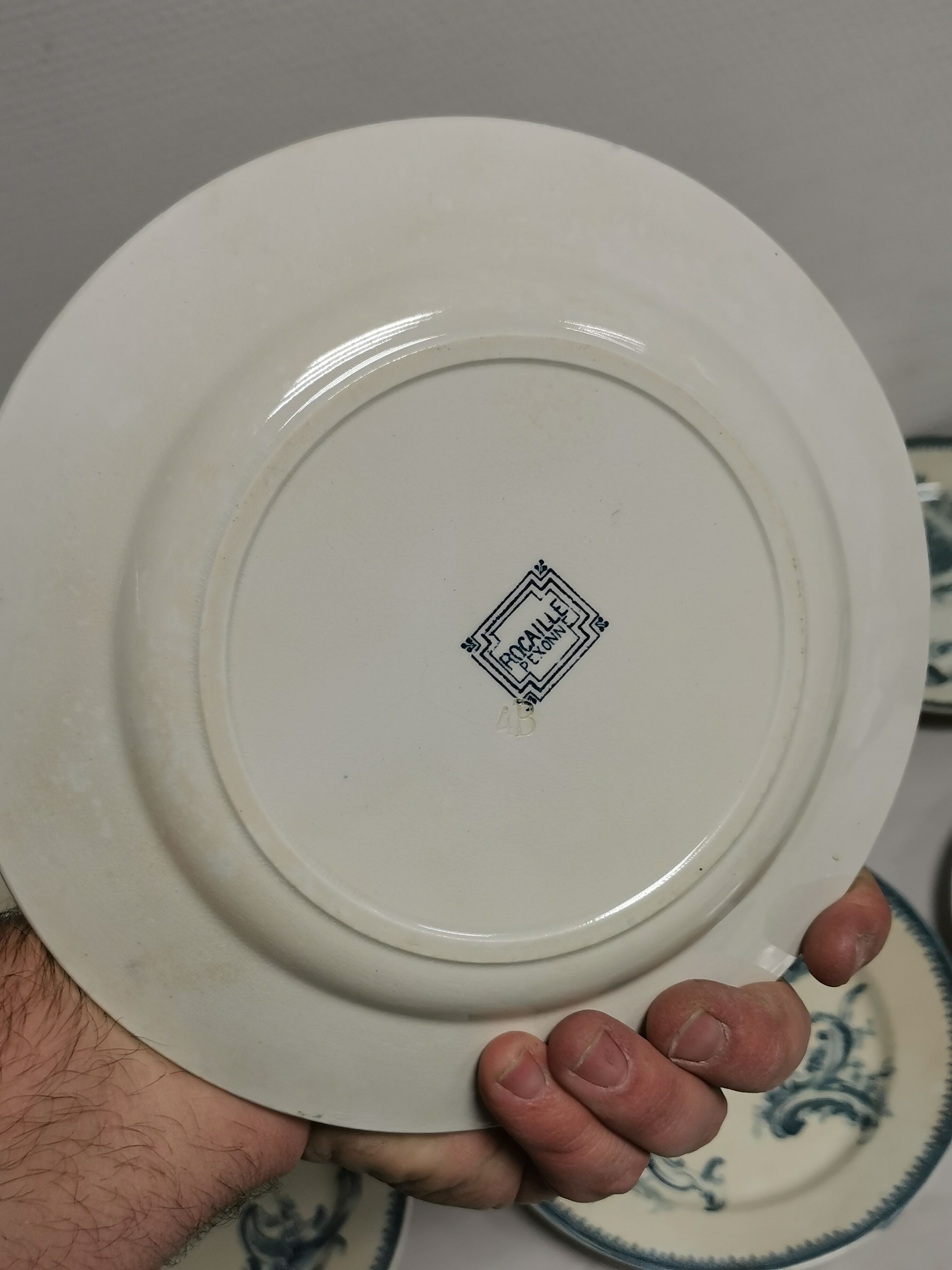 Table service 12 old plates Terre de Fer Rocaille , Faience Pexonne