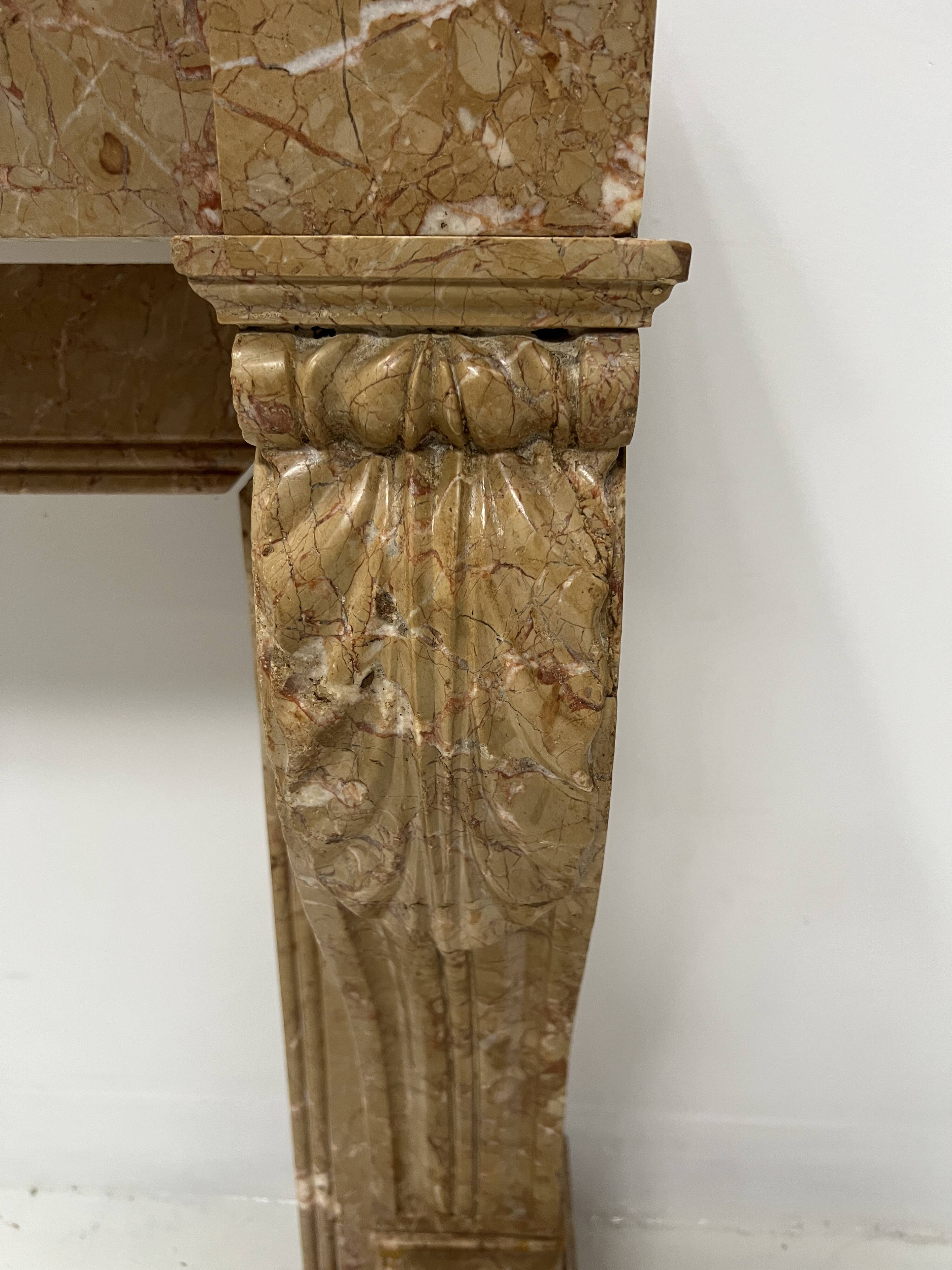 Napoleon III fireplace with claw feet in speckled marble, 19th century.