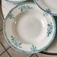 Lot of 6 hollow plates terre de fer saint-amand xixth