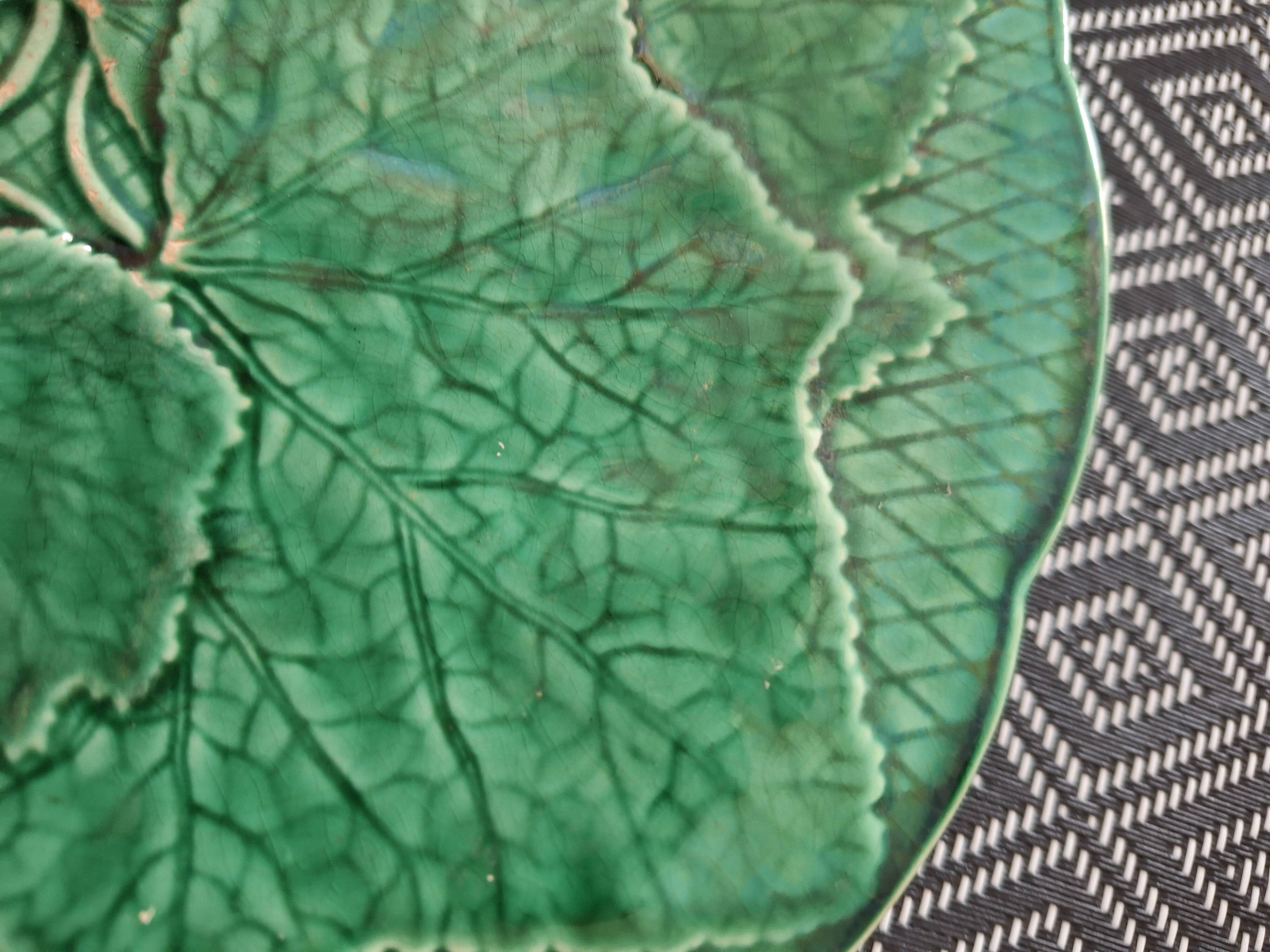 Green plate leaf of gien france