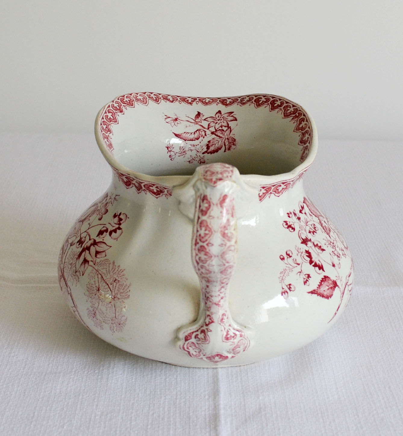 Bushy earth pitcher