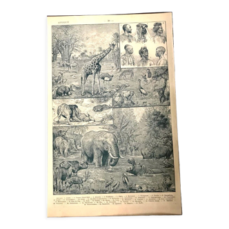 Planche vintage carte de l’Afrique de 1922