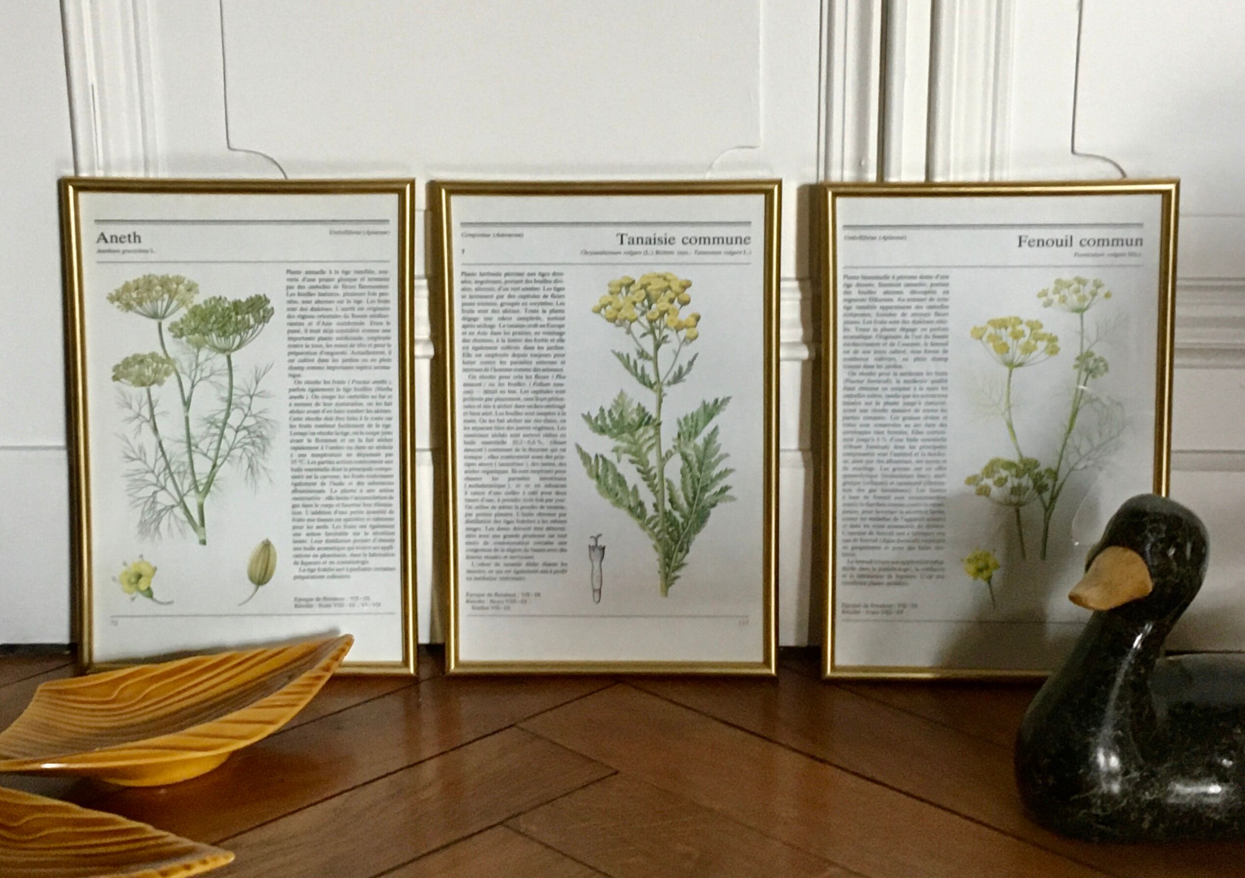 Vintage gold framed botanical illustrations 3