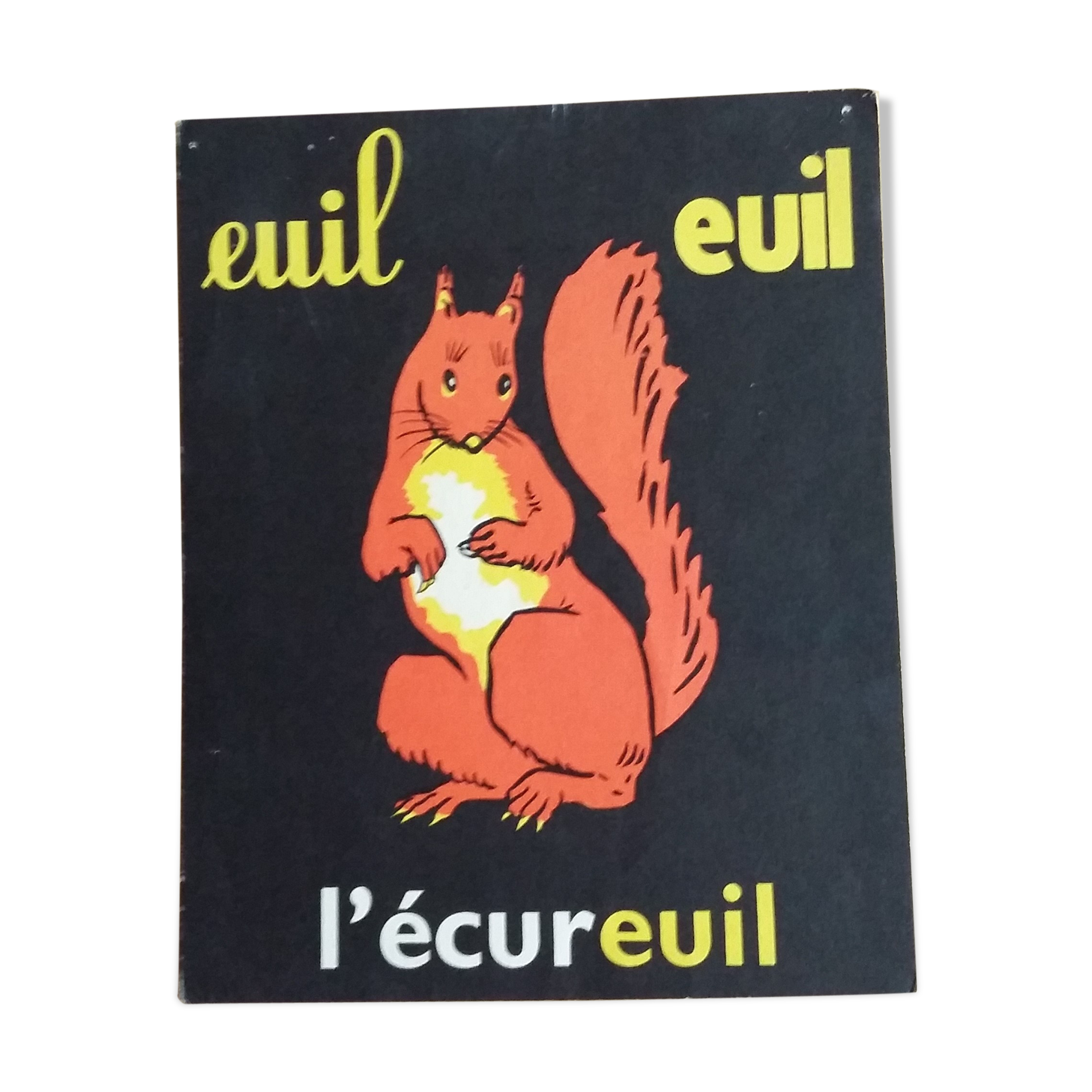 The Squirrel, reading picture