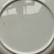 4 blue & white English style dinner plates