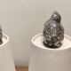 Salt and pepper silver birds