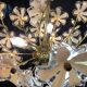 Bohemian Chandelier 1970