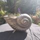 Nautilus tin champagne bucket