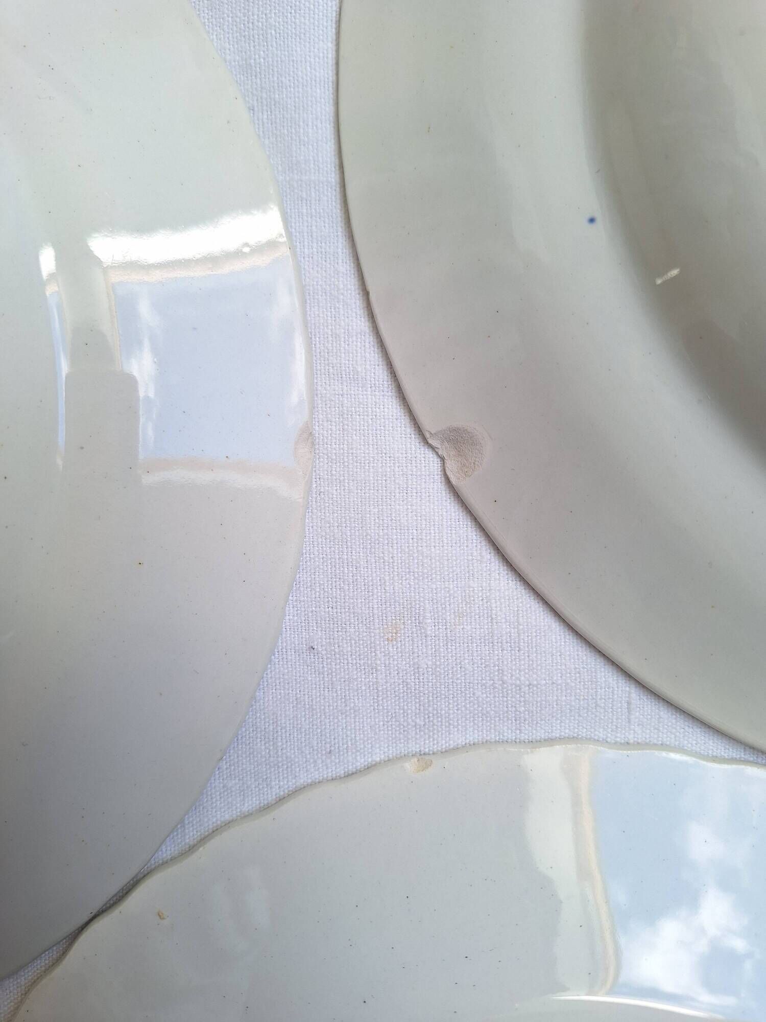 Deep plates in the Amandinoise style, blue oak leaves.