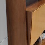 Shelf wall cabinet secretary