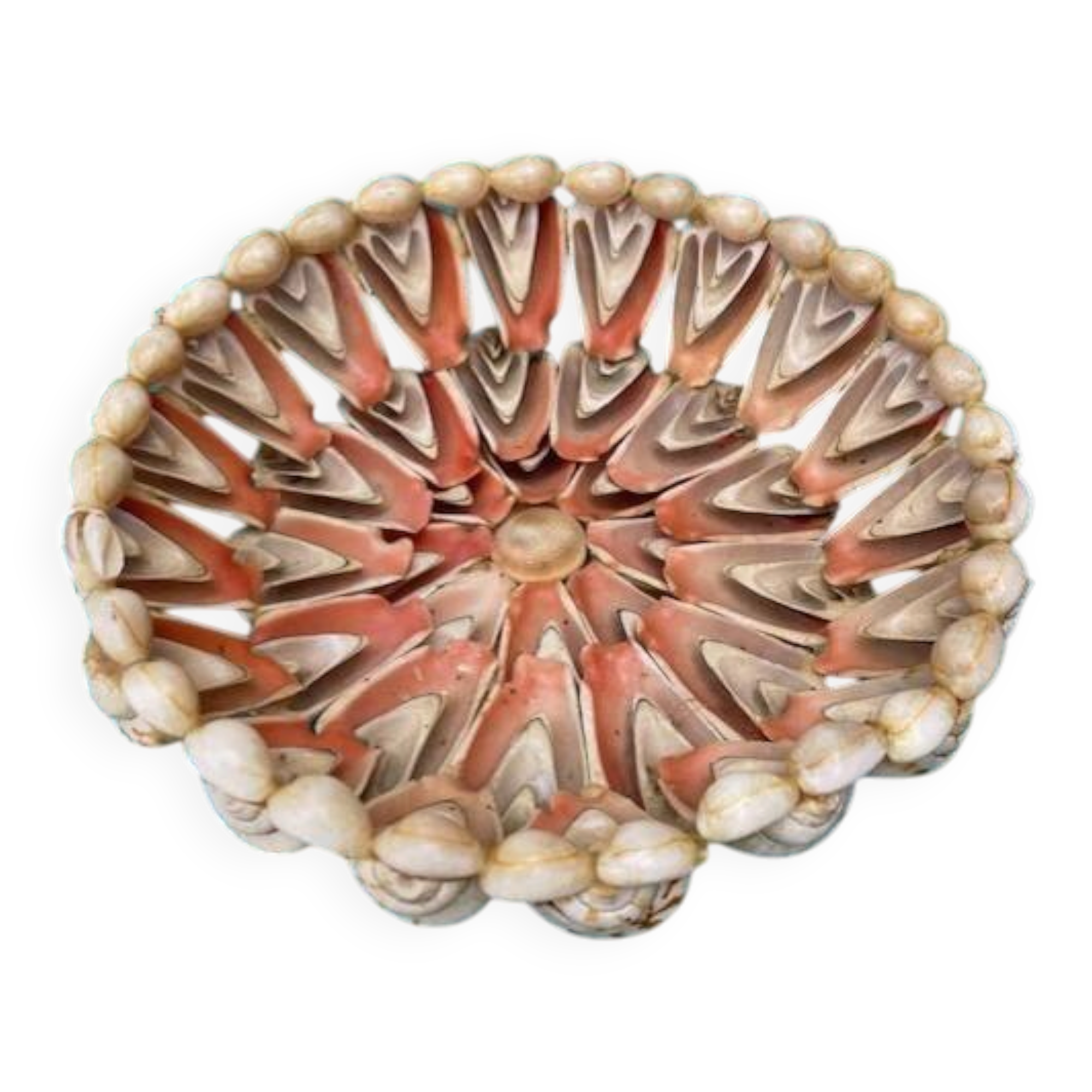 Coupe en coquillages années 60