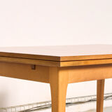 Vintage Scandinavian style dining table, side extensions