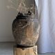 Small side table in black and white petrified wood H28 D18