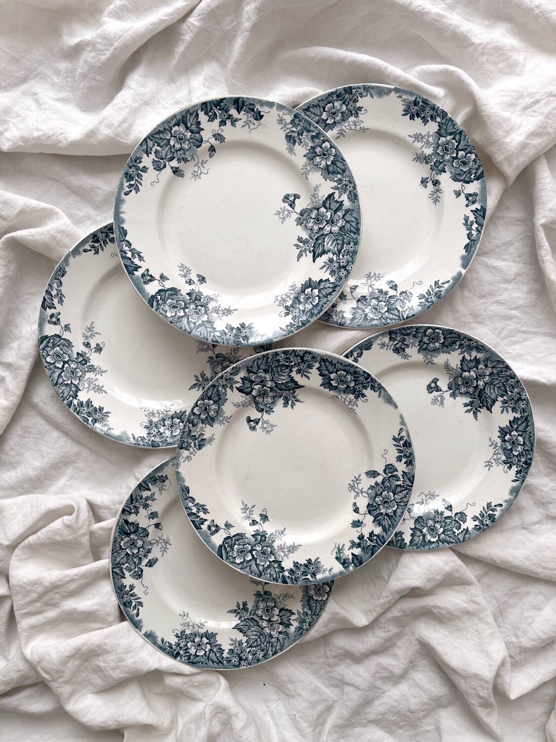 6 flat ironstone plates “Marie Louise” Saint Amand and Hamage