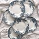 6 flat ironstone plates “Marie Louise” Saint Amand and Hamage