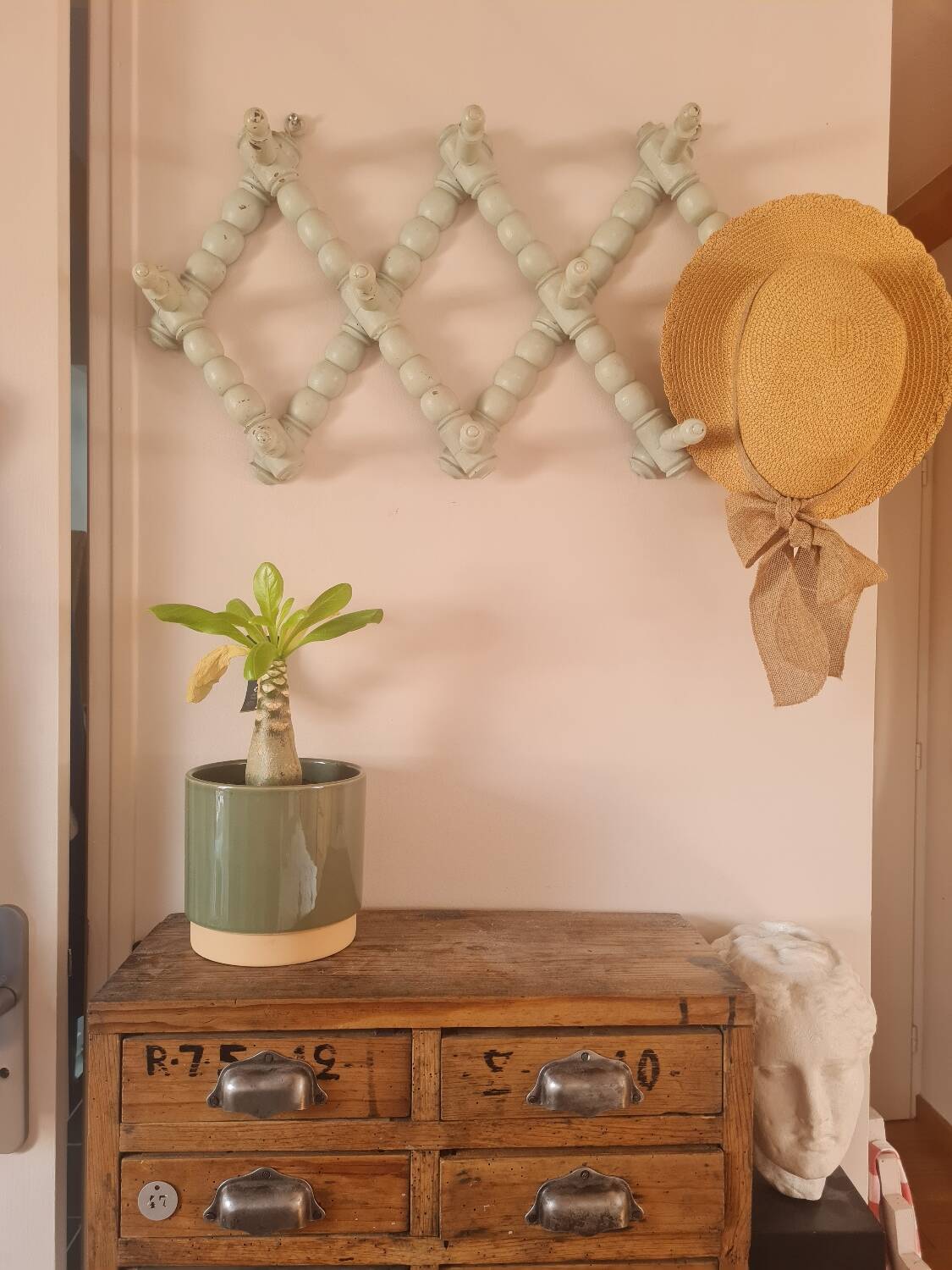 Coat and hat rack