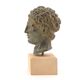 Paperweight bust of Hermes in patinated plaster, 1970s