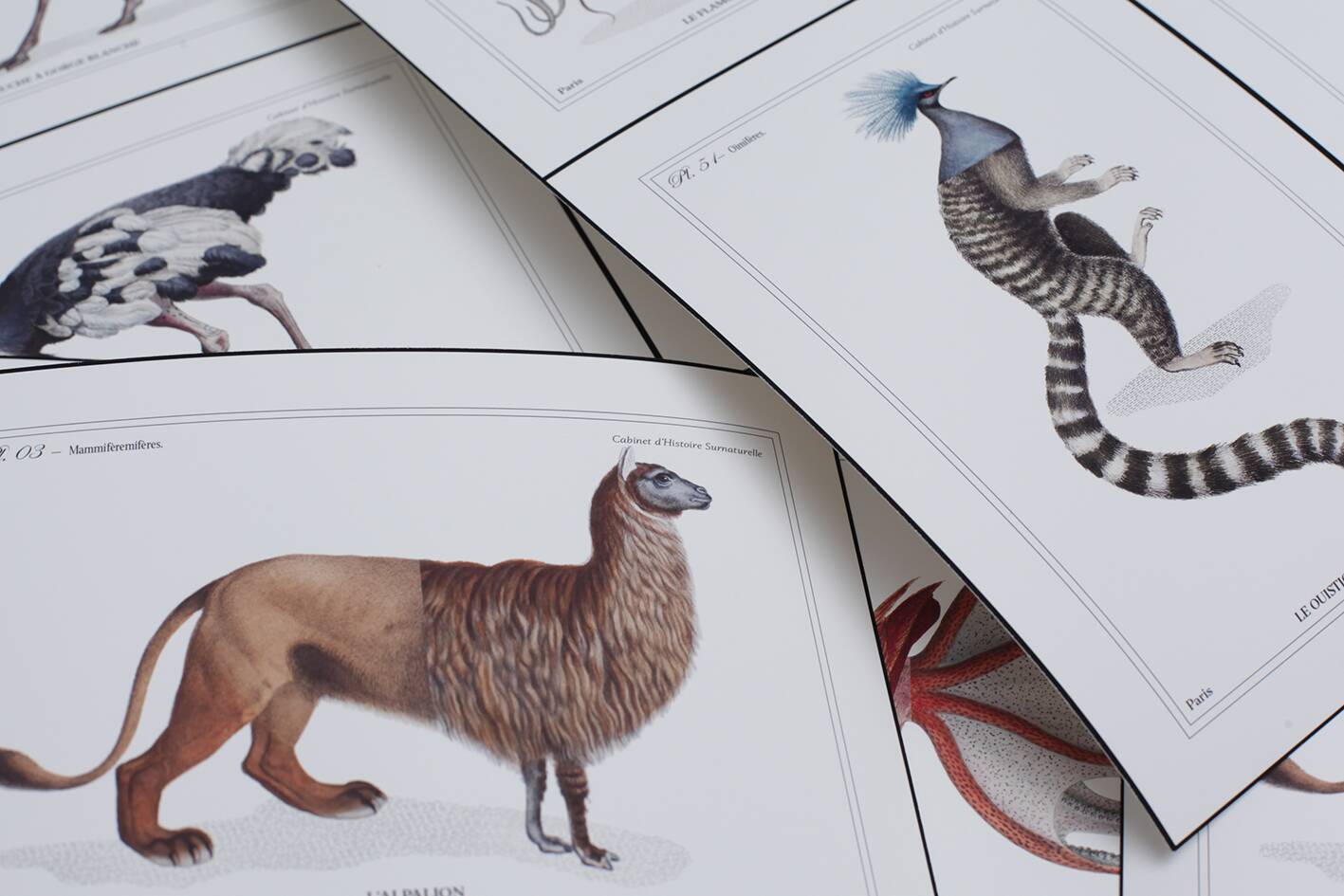 Lithograph engraving chimera animal - the mirilion