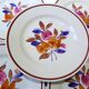 5 assiettes plates