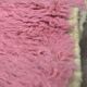 Contemporary Pink Rug - 390 x 290 cm