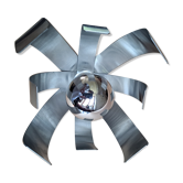 Fleur de lumiere  Joceline Trocmé