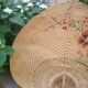 Chinese wall event in vintage bamboo
