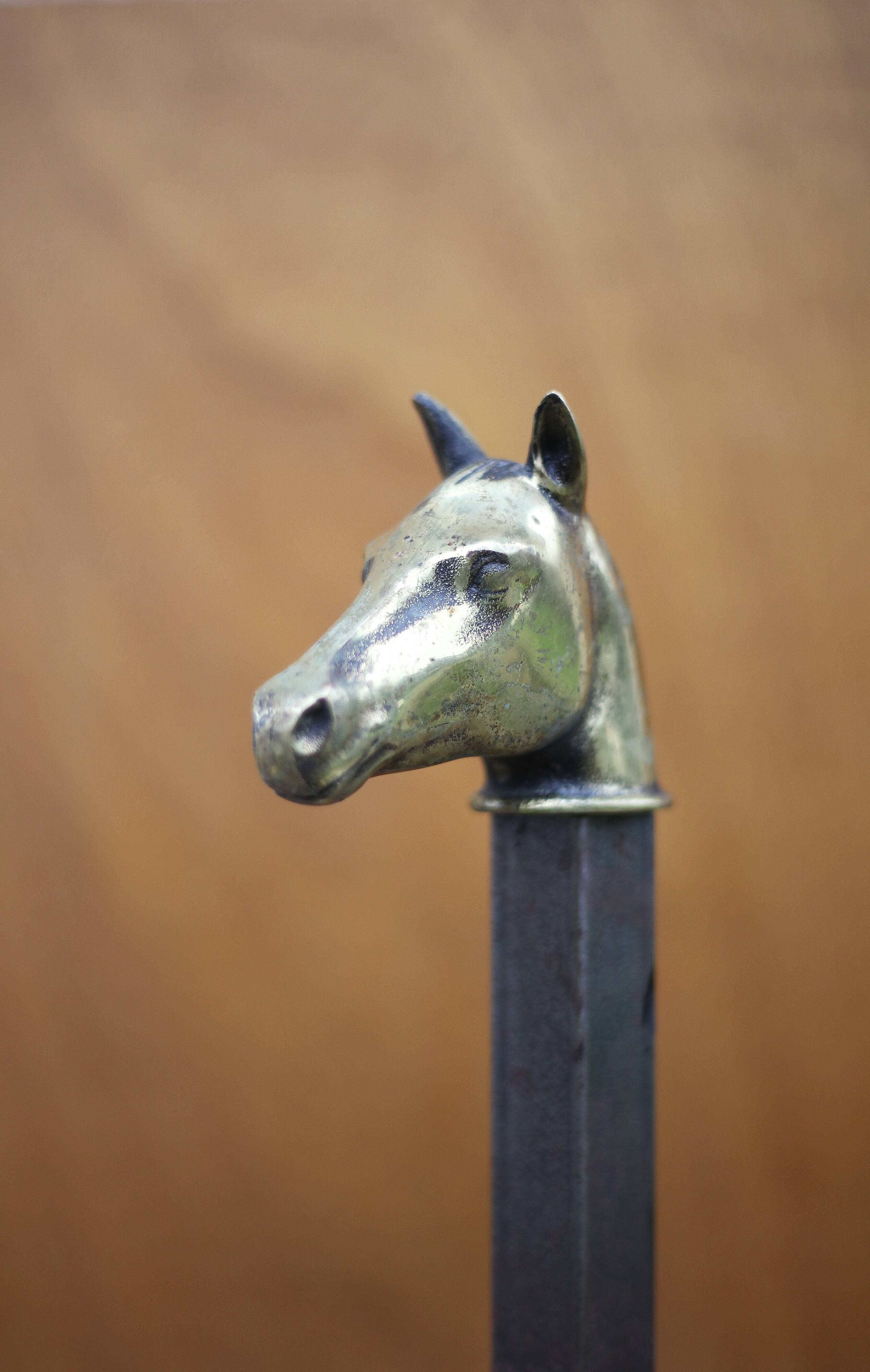Vintage fireplace andirons, pair of cast iron animal andirons, brass horse head