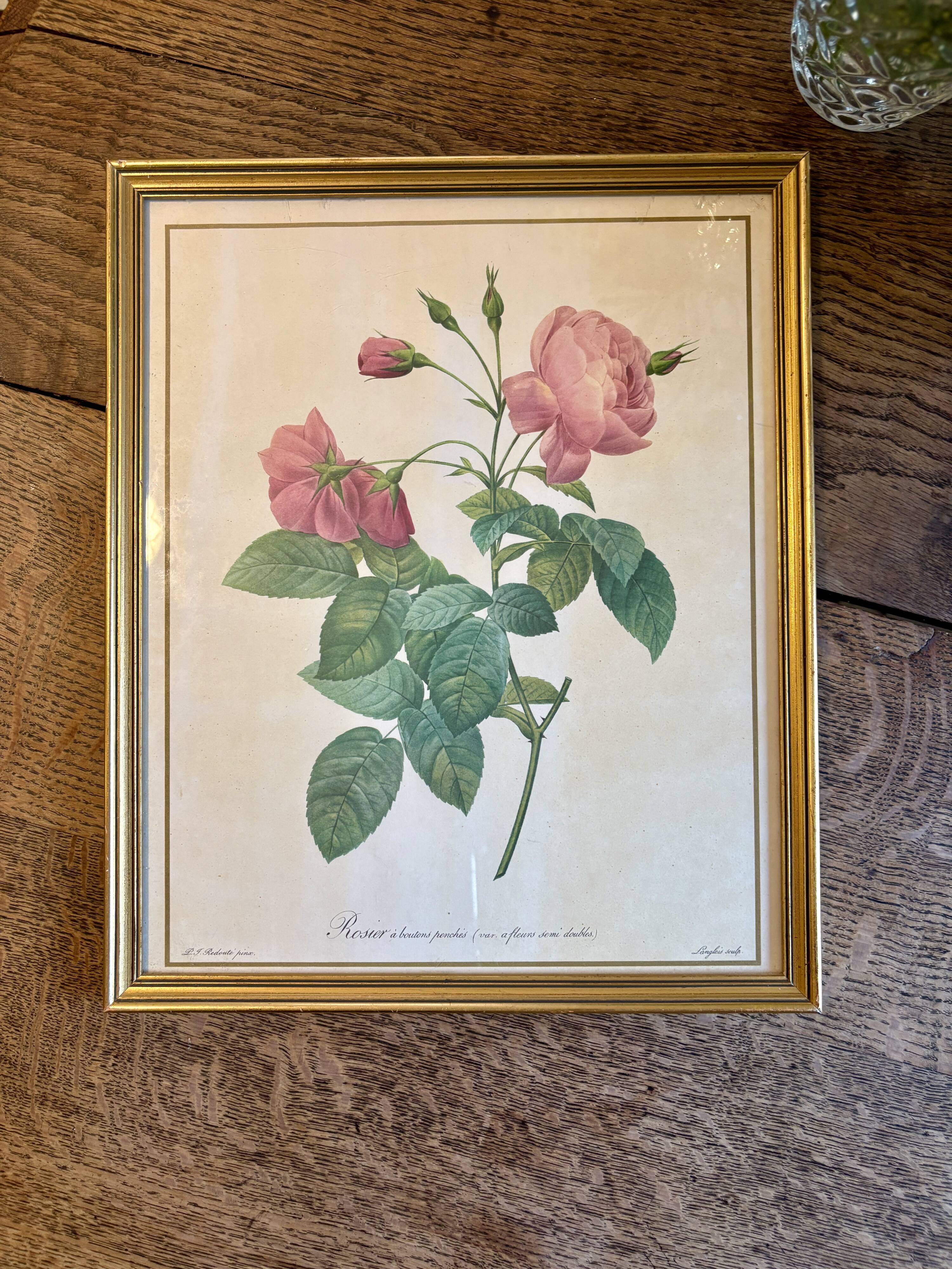 Old frame Redouté roses