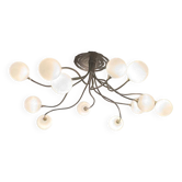 HEVEA suspension from CVL