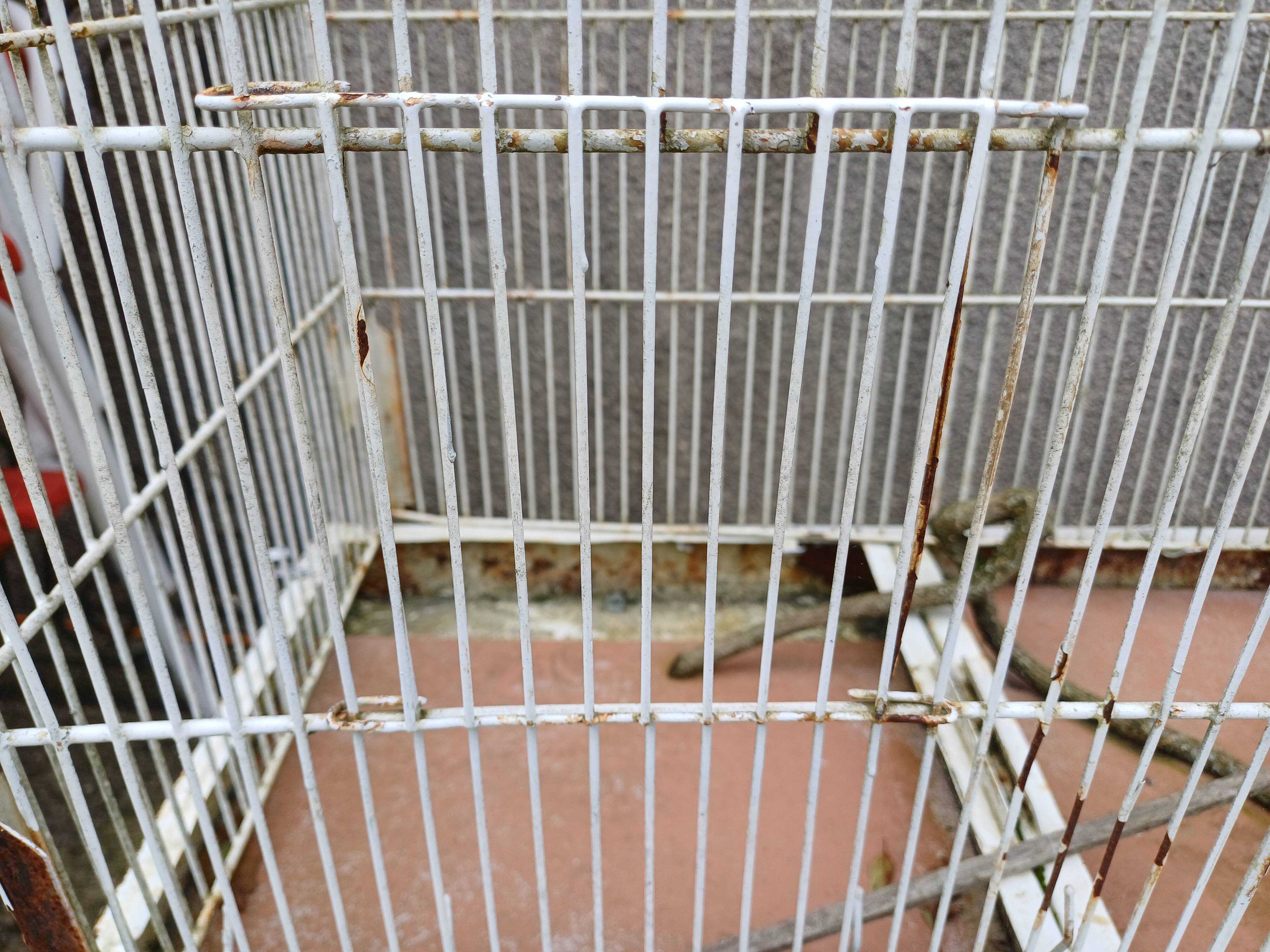 Cage à Oiseaux Fer 1900