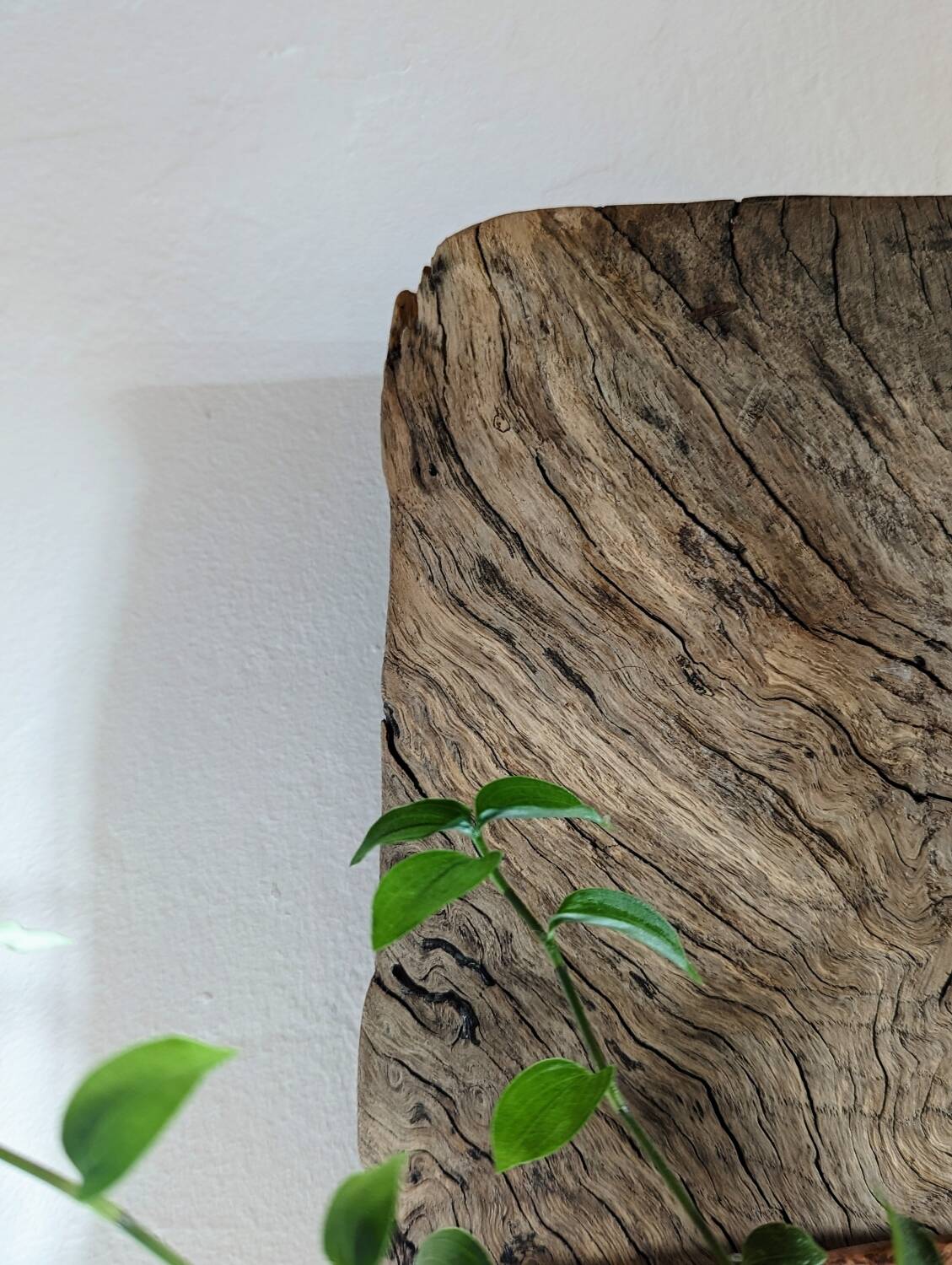 Old oak wall shelves
