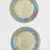 Plates Haviland ocean model