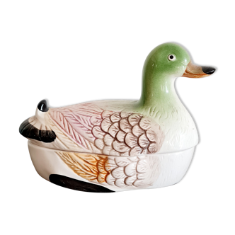 Empty pocket box duck in bubble