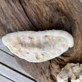 Original vintage coral