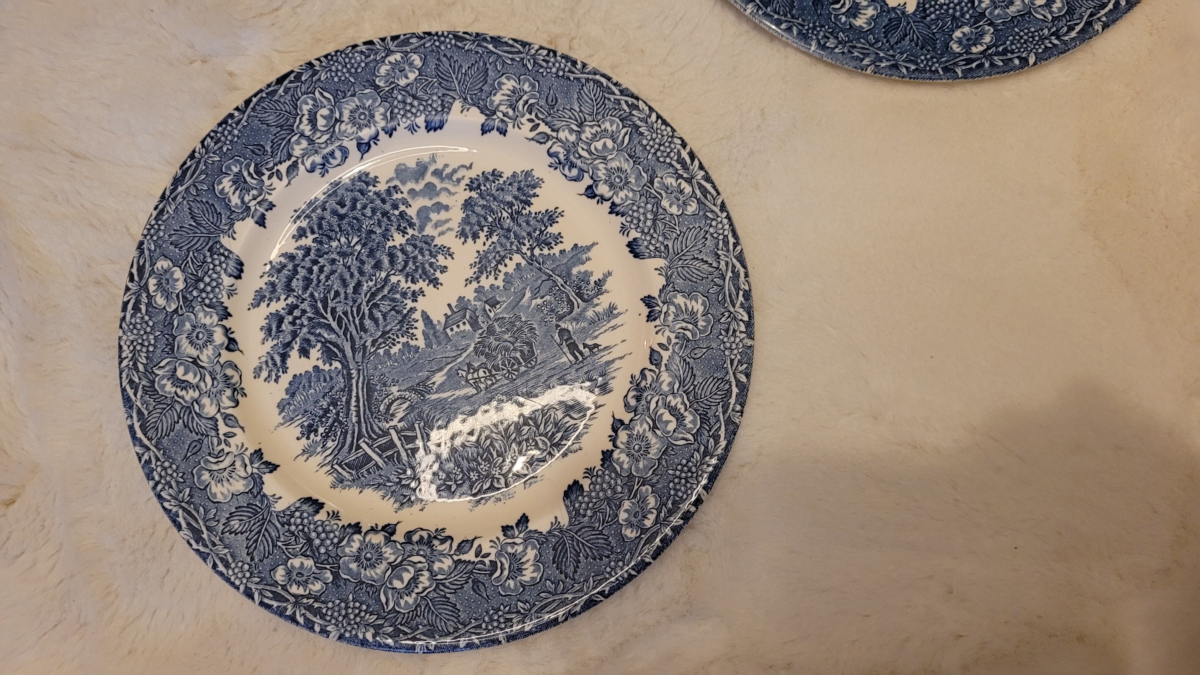 Vintage English plate