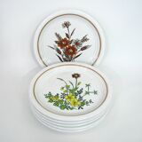 6 small white stoneware dessert plates - floral decoration - Country Charm Collection