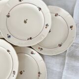 Set of 12 mdl plates - beauce model