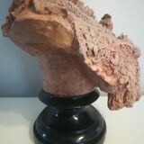 Bust signed D. Van Den Bossche in terracotta