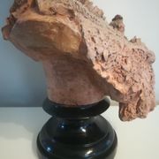 Bust signed D. Van Den Bossche in terracotta