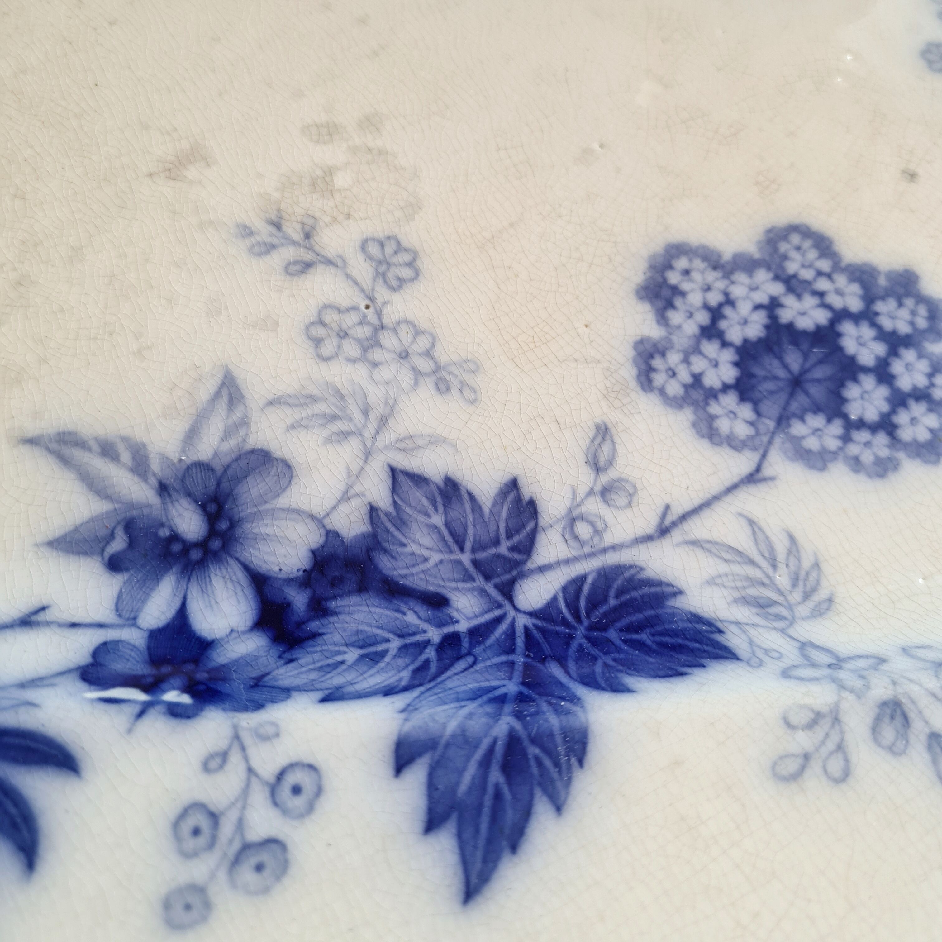 Ancient iron flat Wood and Brownfield England model Verbena blue around 1845