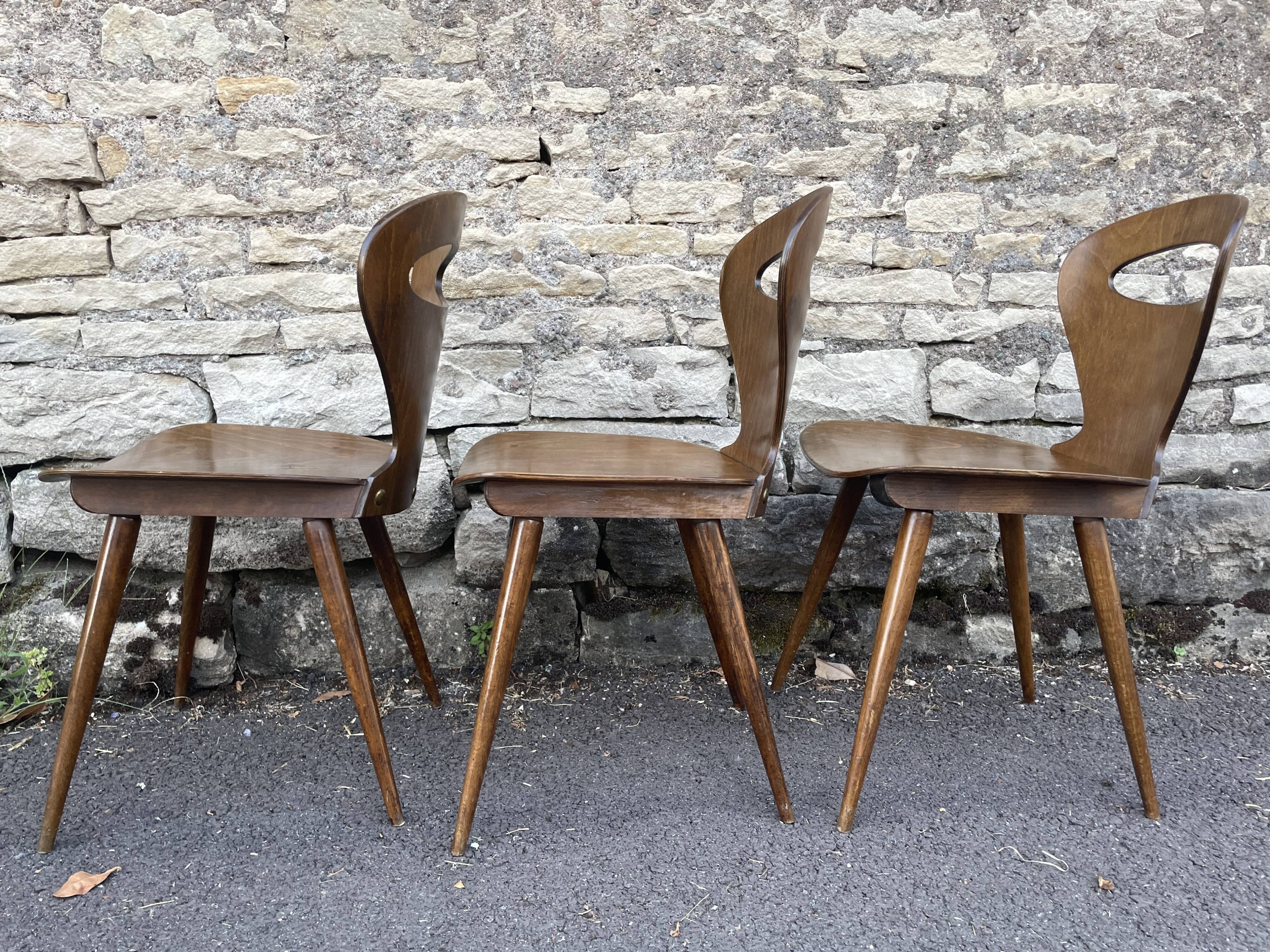 Baumann chairs "ant"