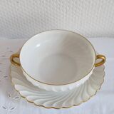 Havilland Limoges porcelain cup and saucer