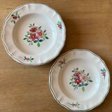 Set of 6 hollow plates Sarreguemines model Amazonas
