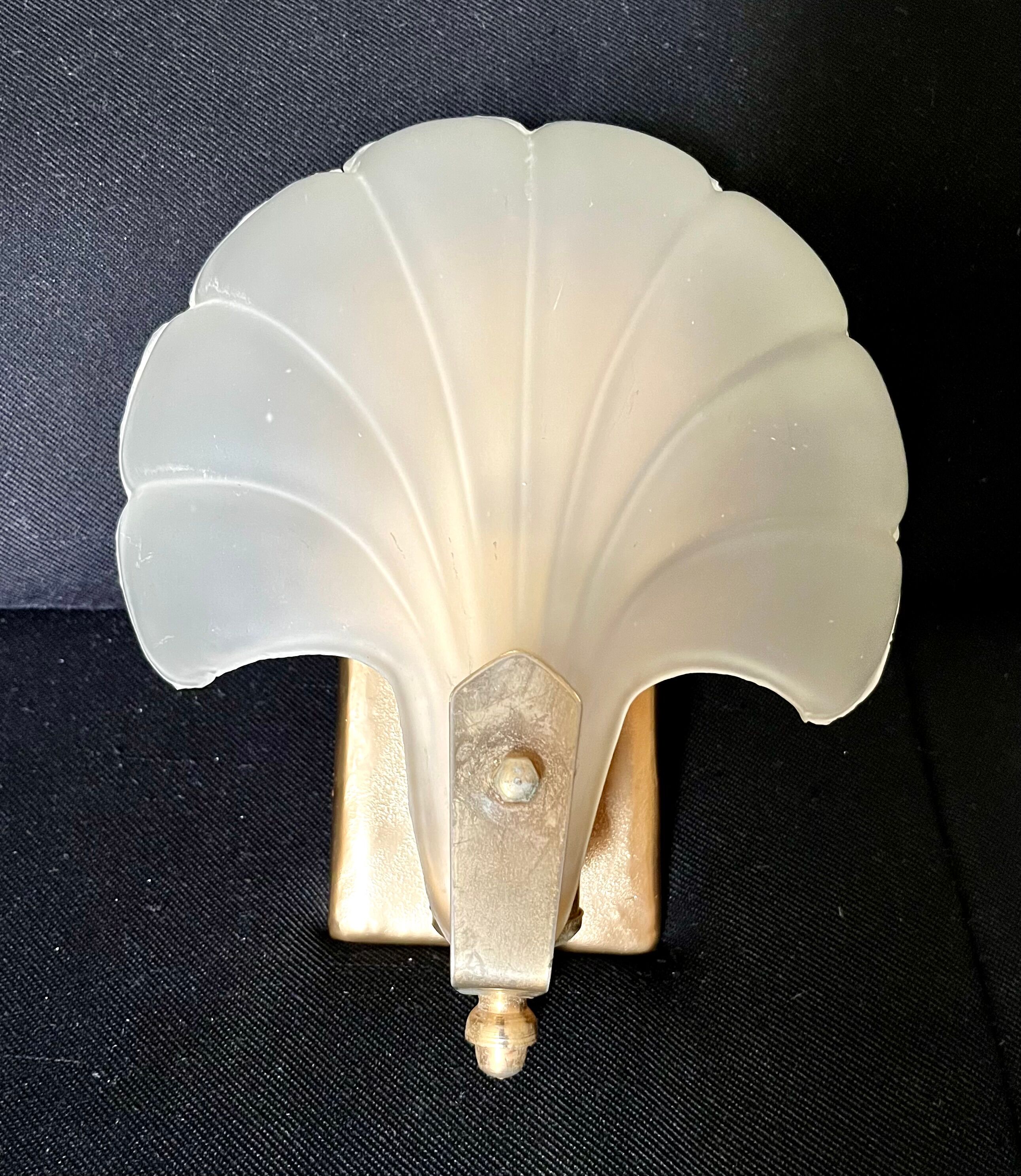 Shell wall lamp