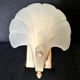 Shell wall lamp