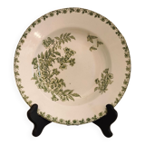 Assiettes creuses