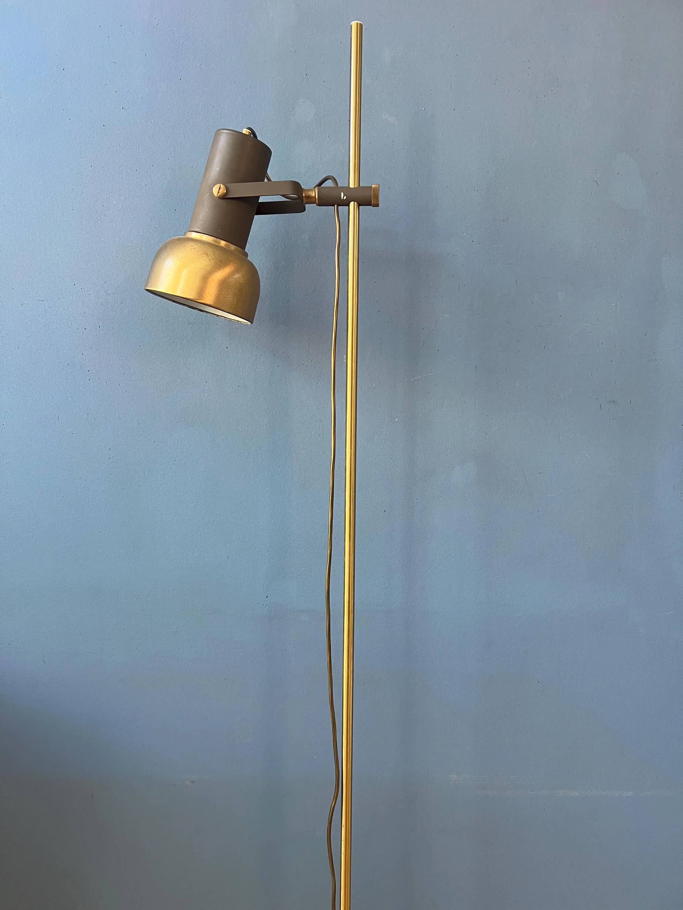 Lampadaire vintage en laiton avec spot orientable