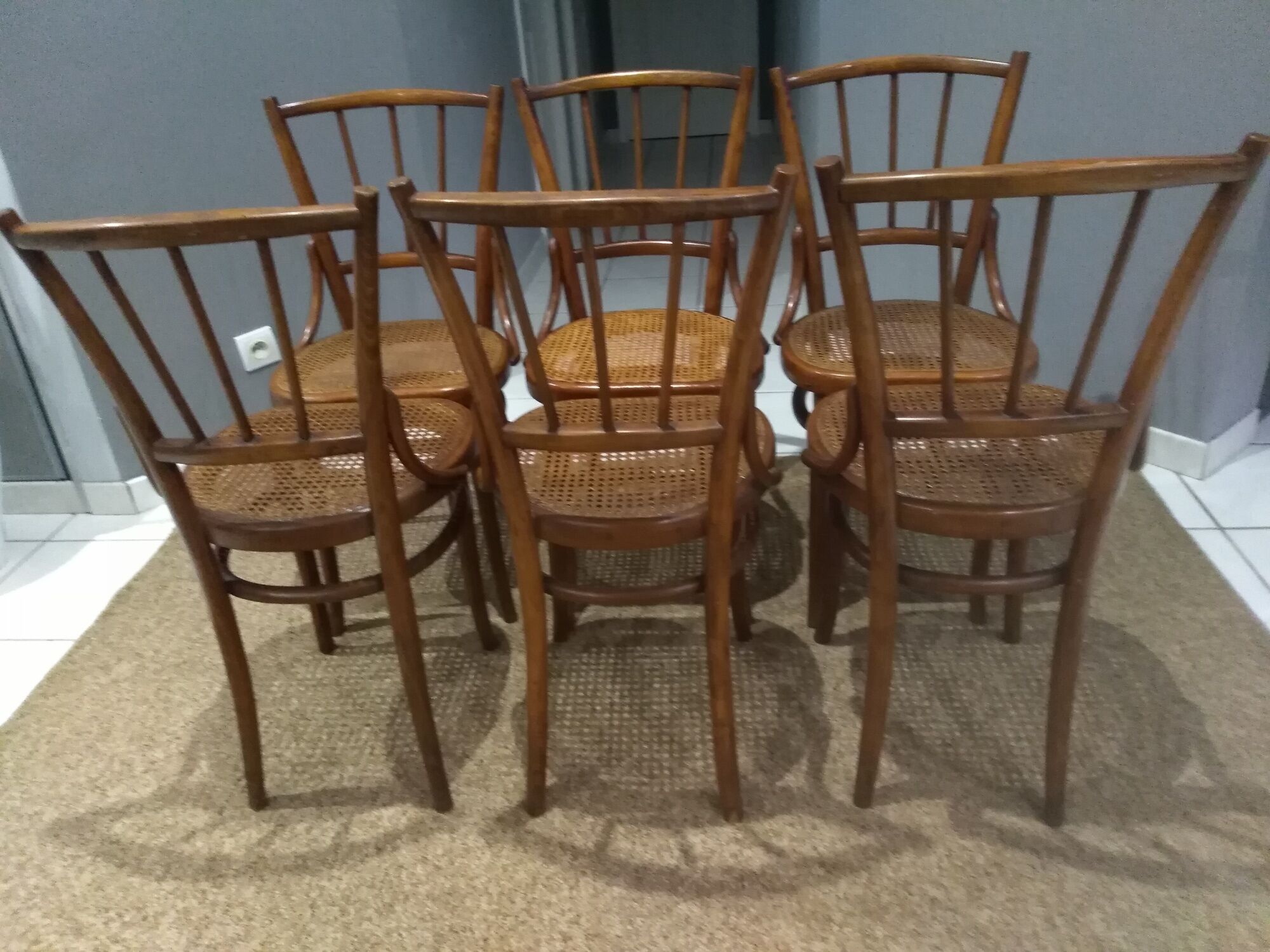 Suite of 6 chairs by Bistrot Austro-Hungarian Fium 1890