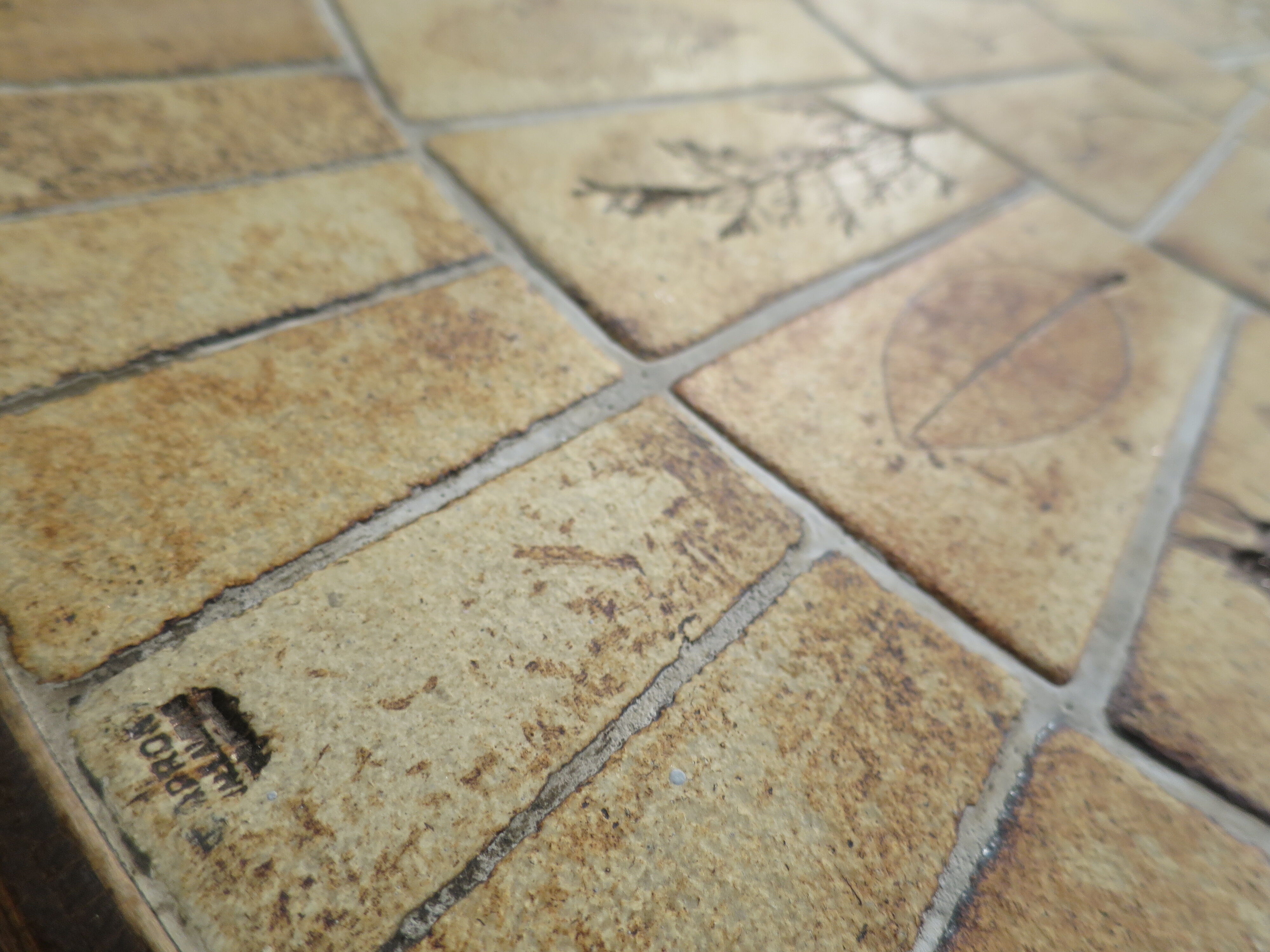 Capron Roger series coffee table "herbarium"